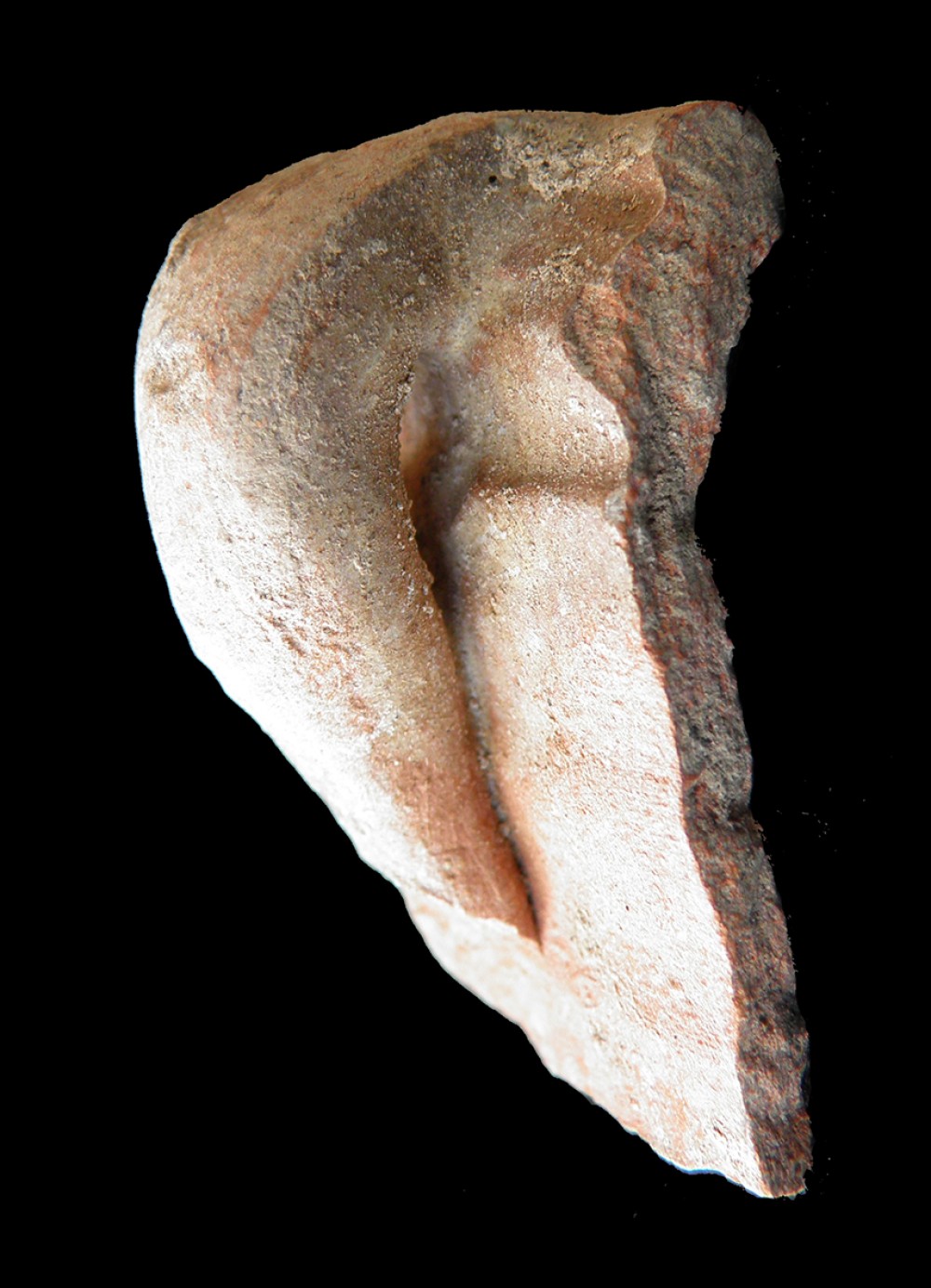 100.JPG