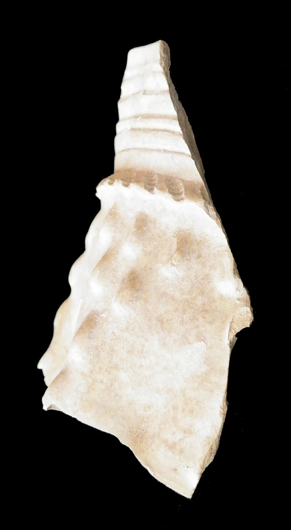 102.JPG