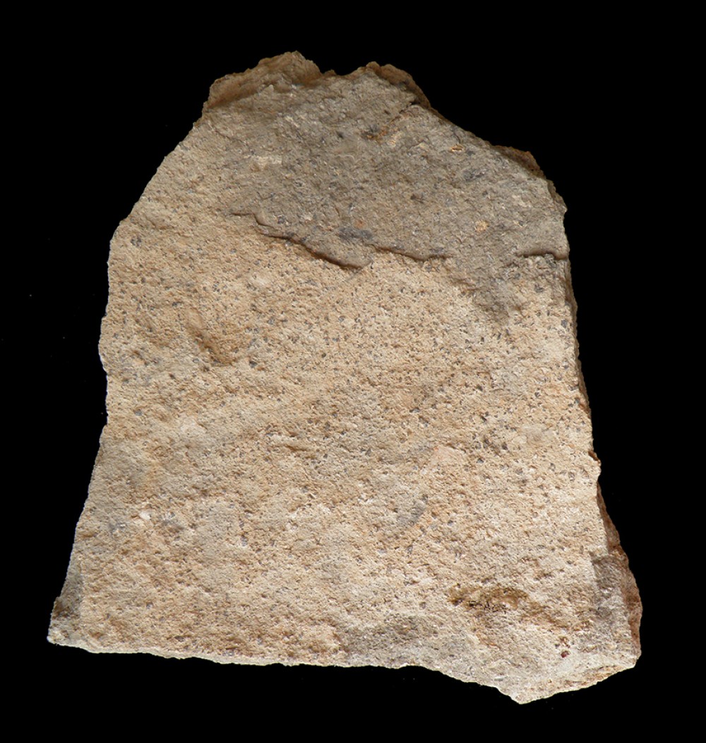 101.JPG