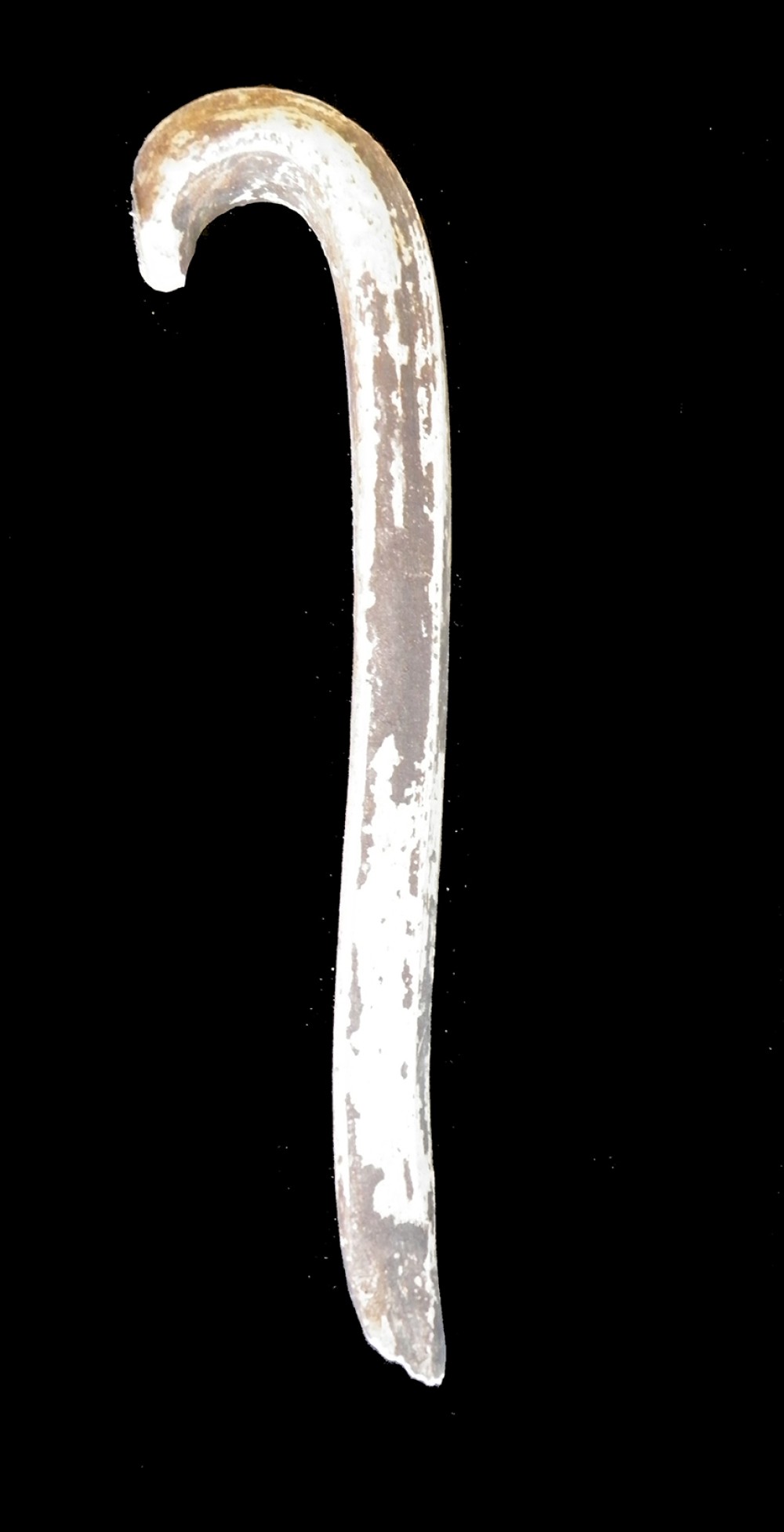 100.JPG