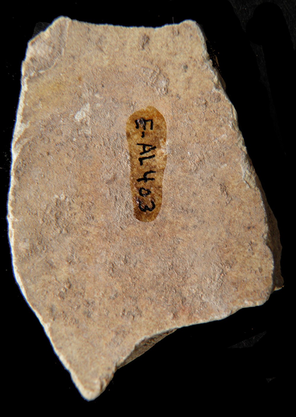 100.JPG
