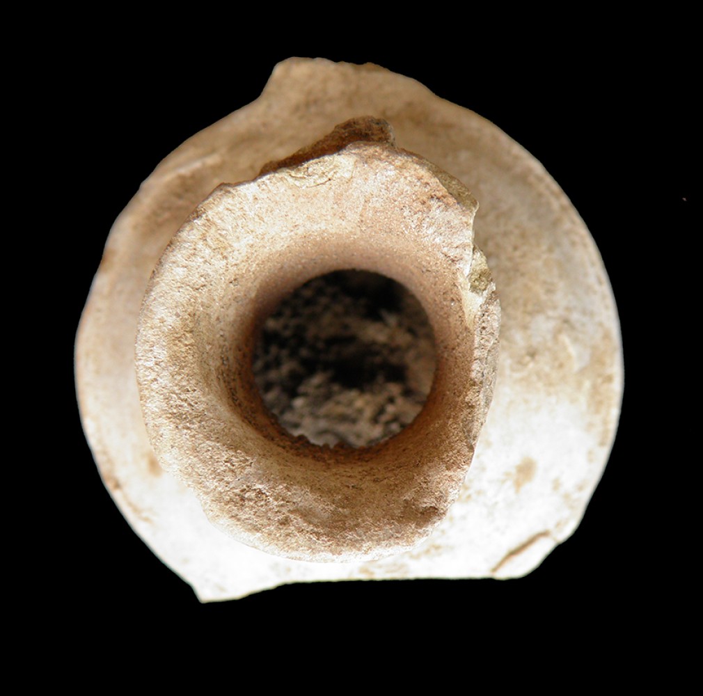 103.JPG