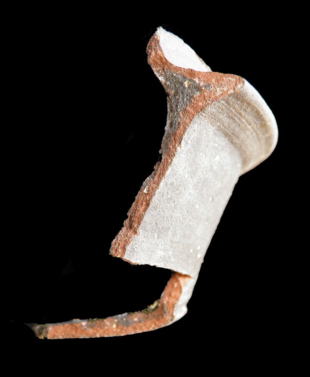 100.JPG