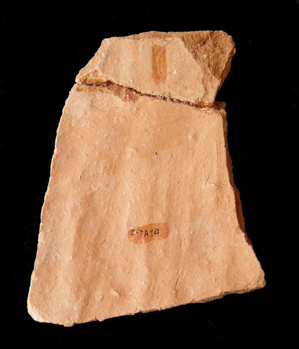 103.JPG
