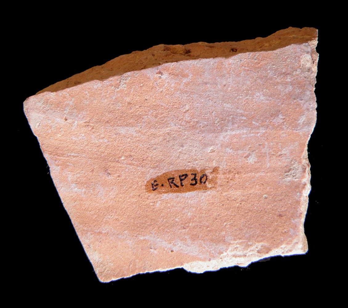 103.JPG