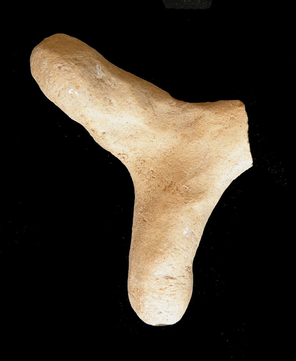 100.JPG