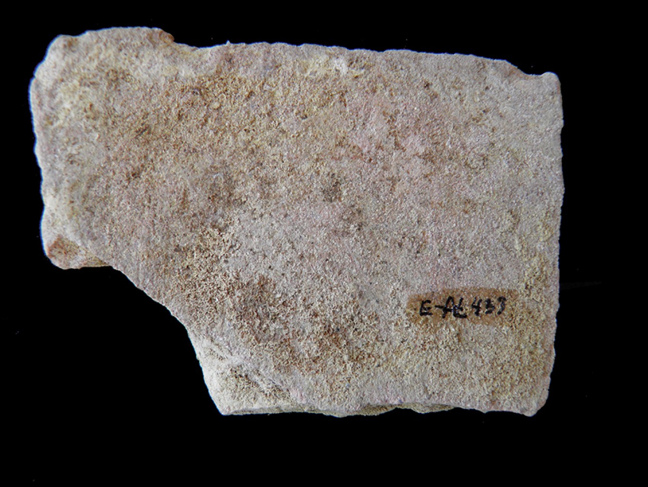101.JPG