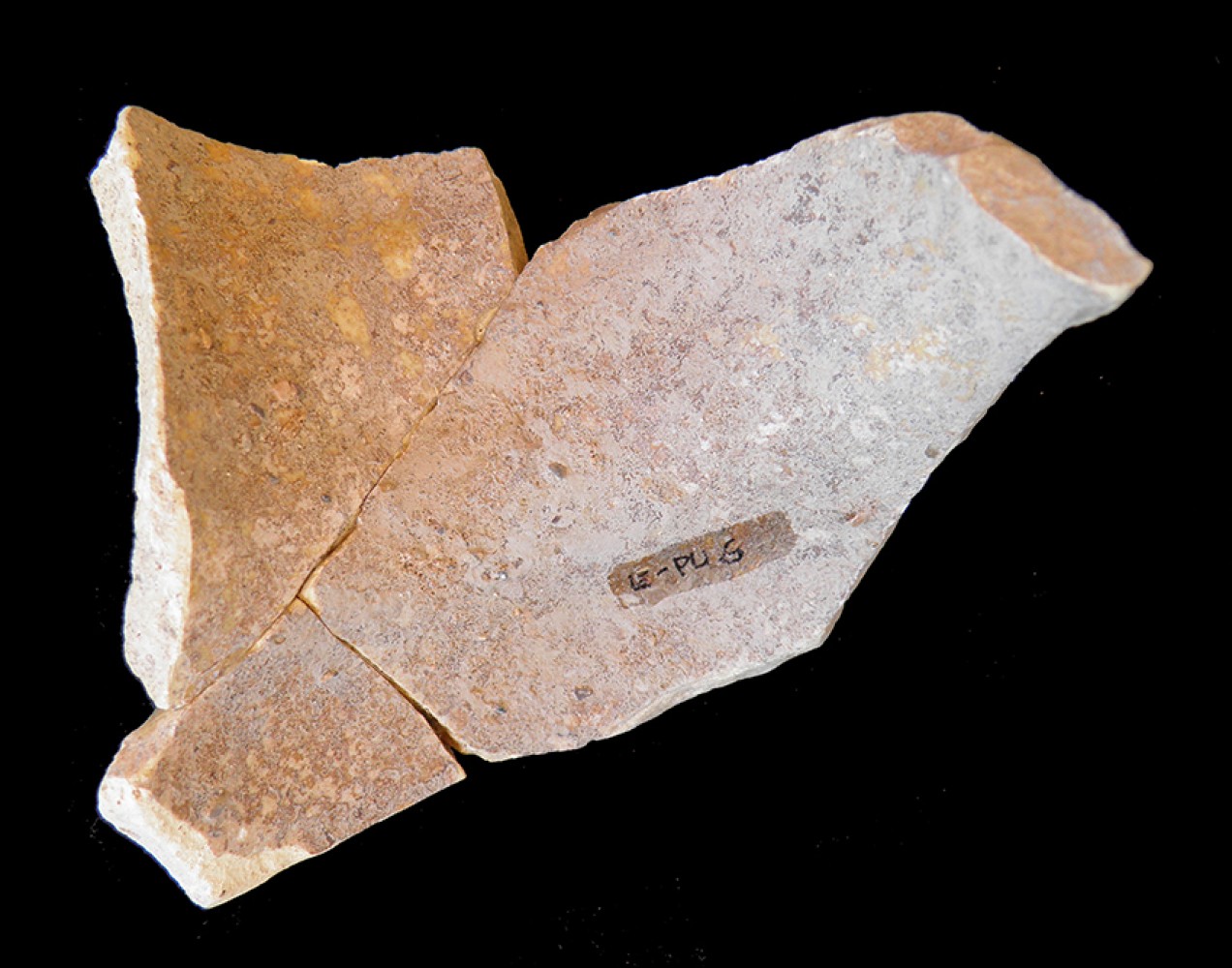 104.JPG