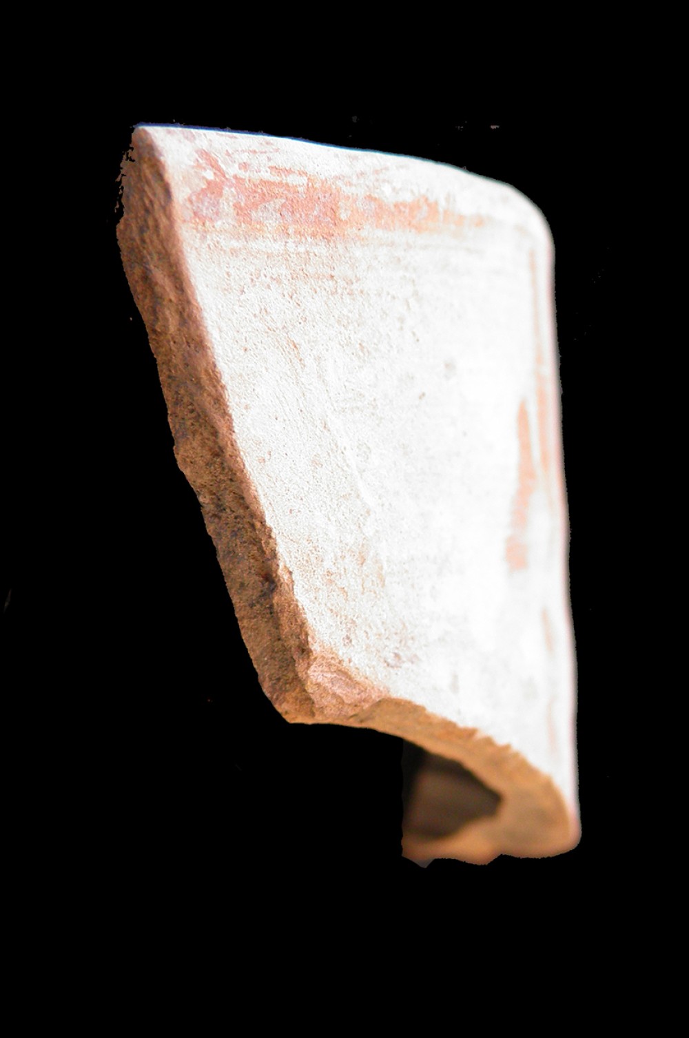 100.JPG