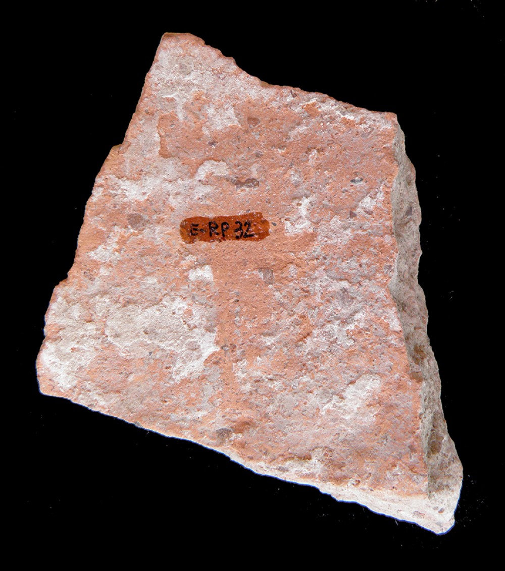 100.JPG