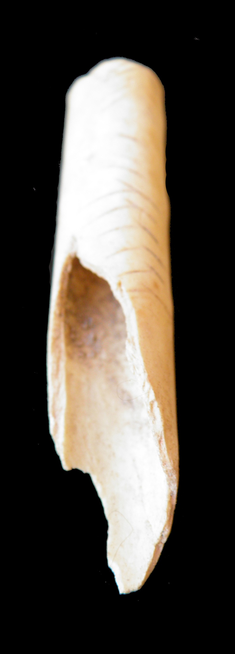 101.JPG