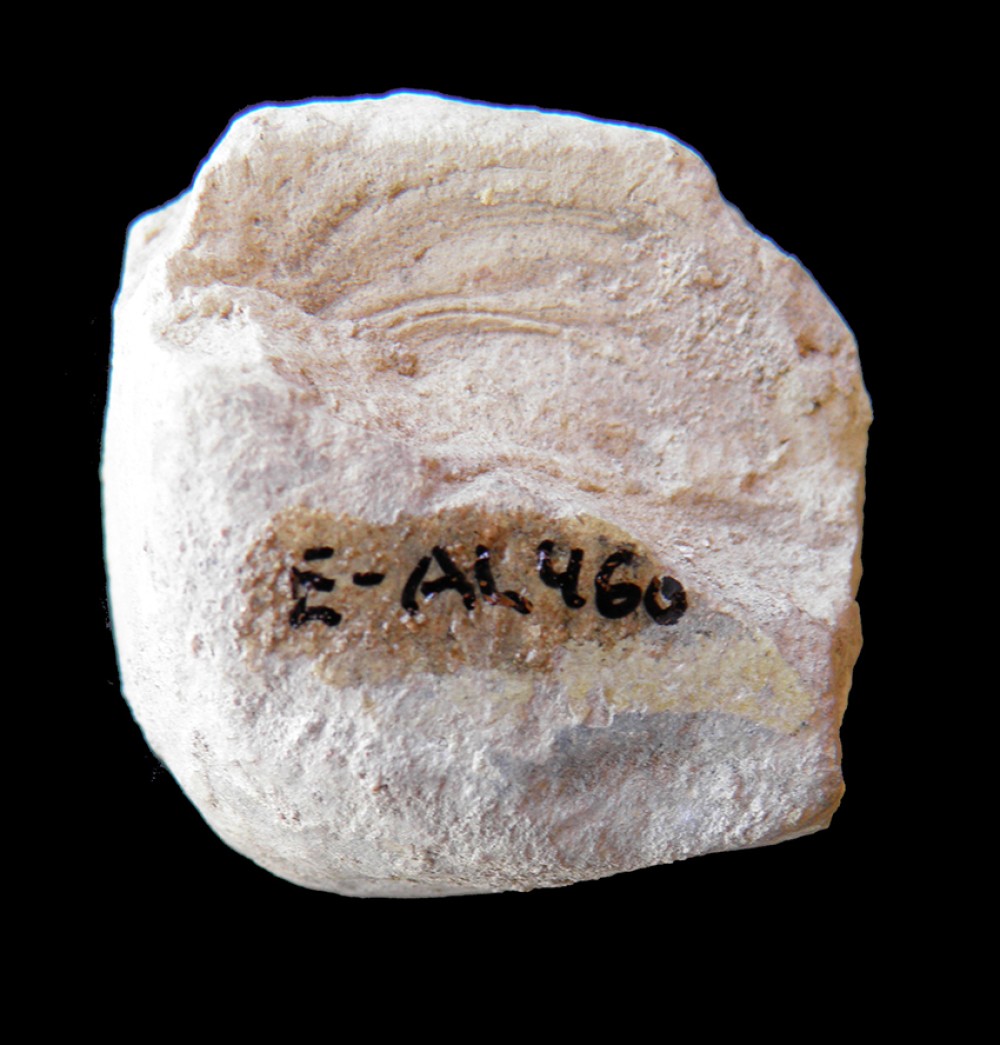 104.JPG