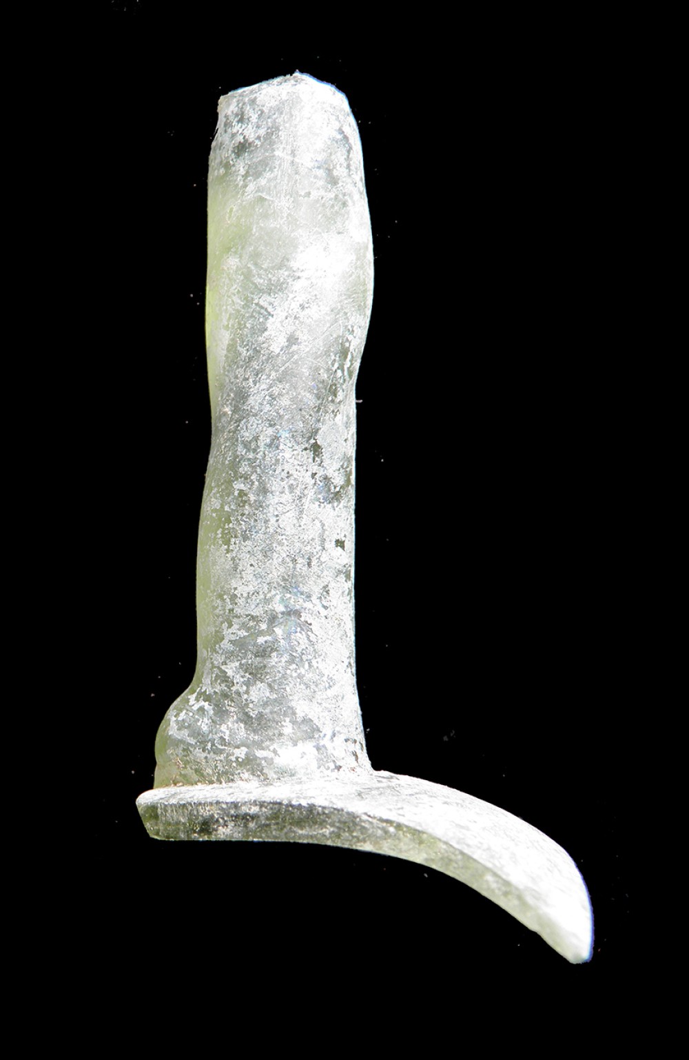 100.JPG