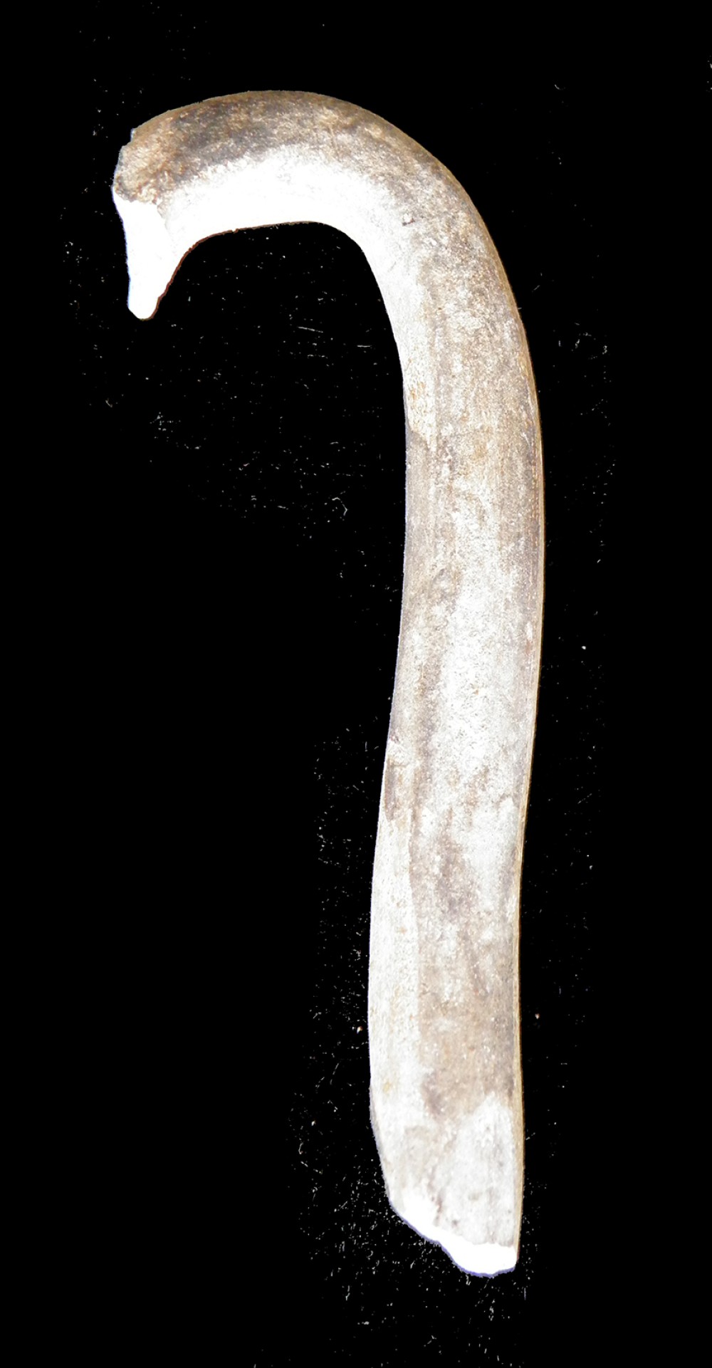 100.JPG