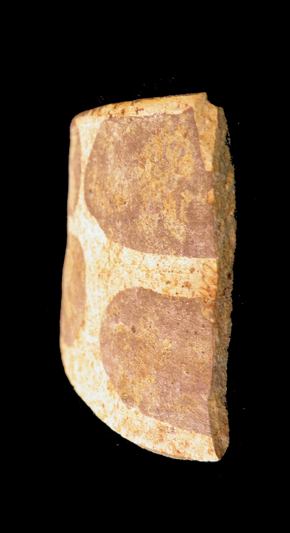 100.JPG