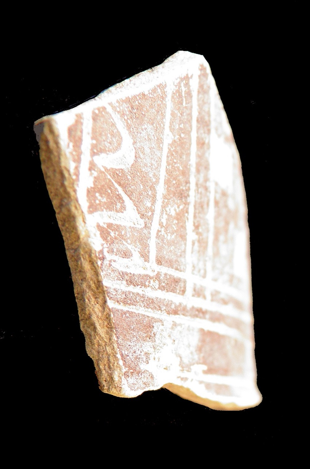 100.JPG