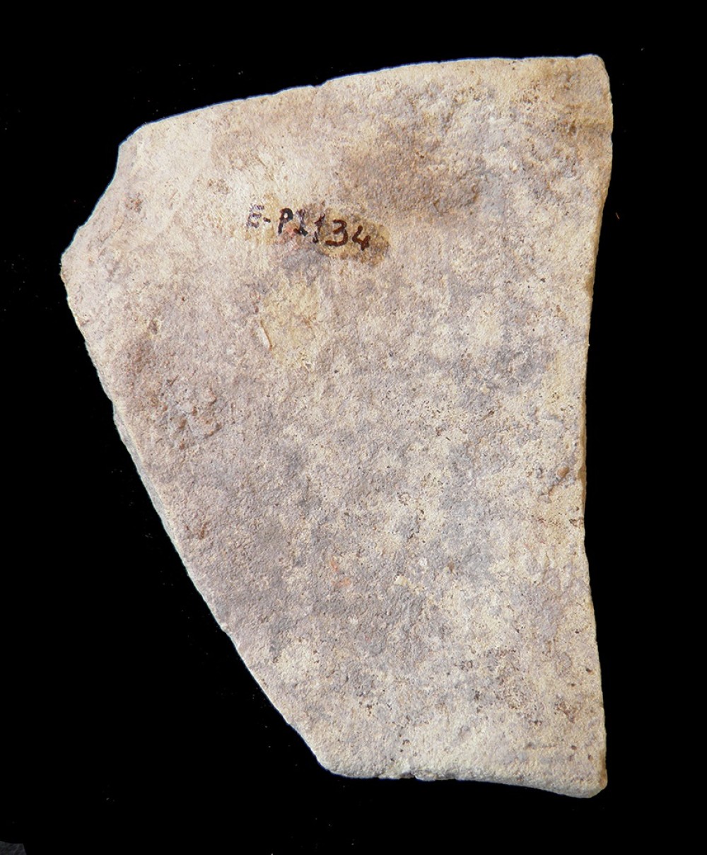 100.JPG
