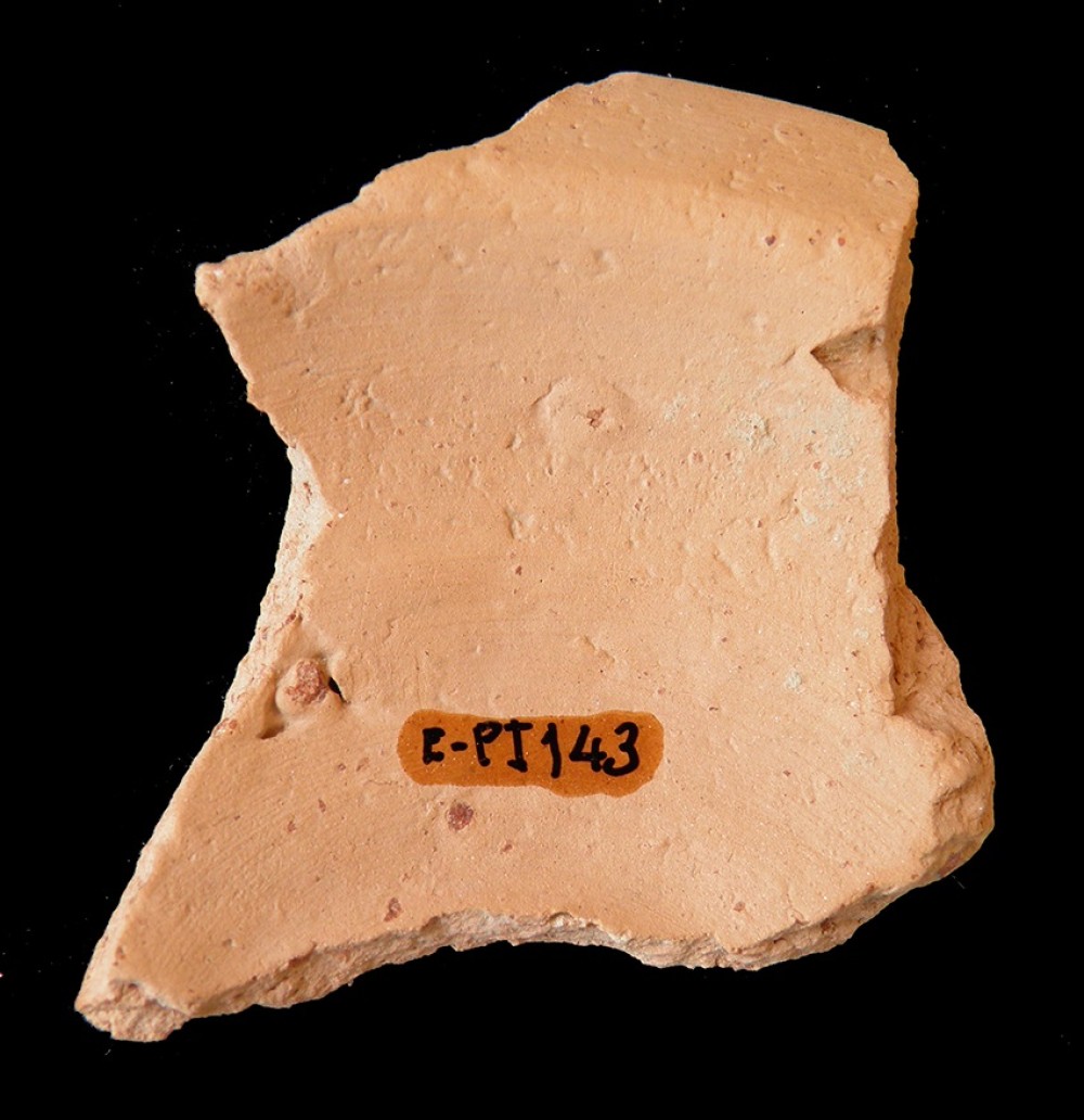 100.JPG