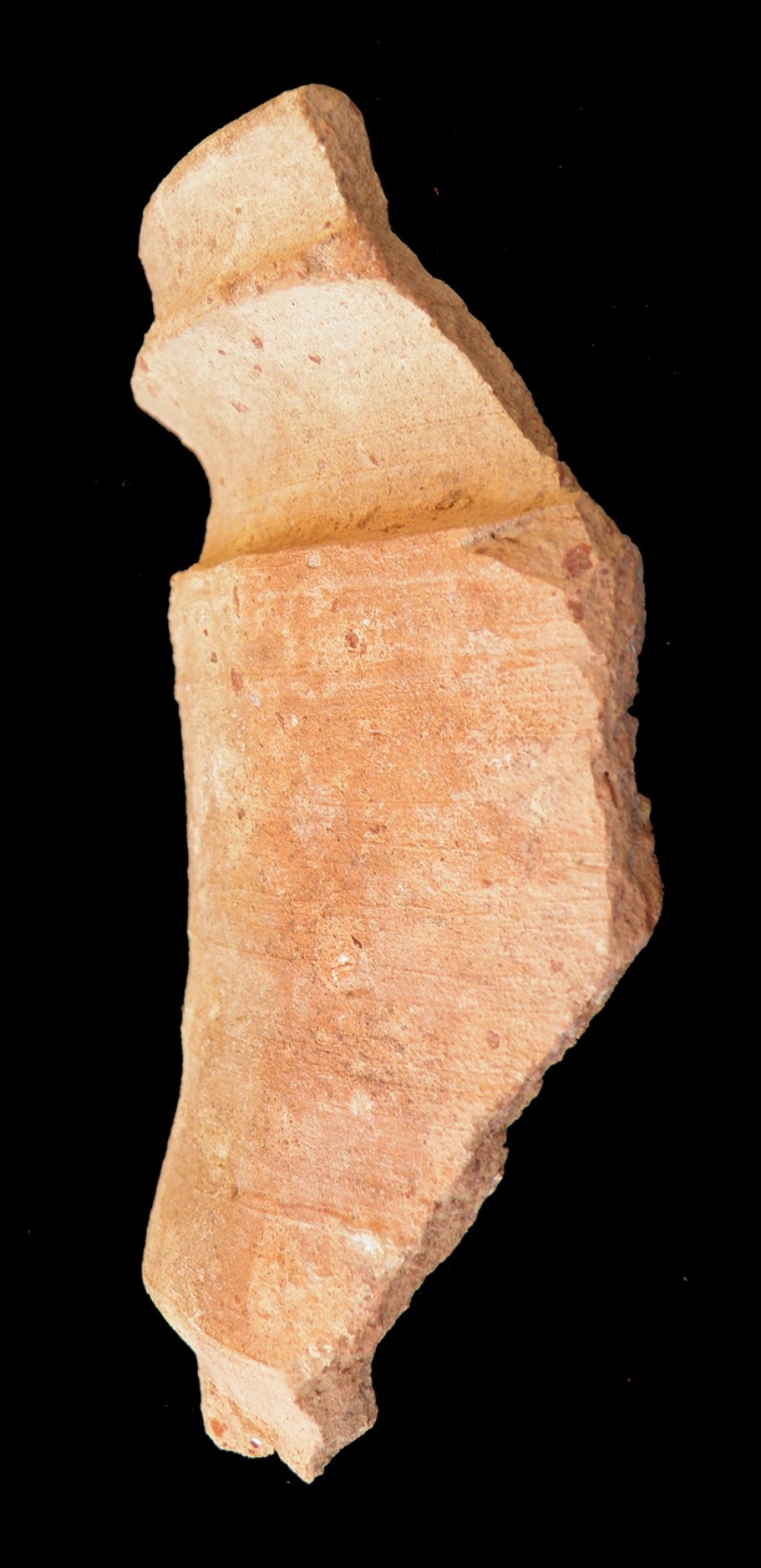 100.JPG