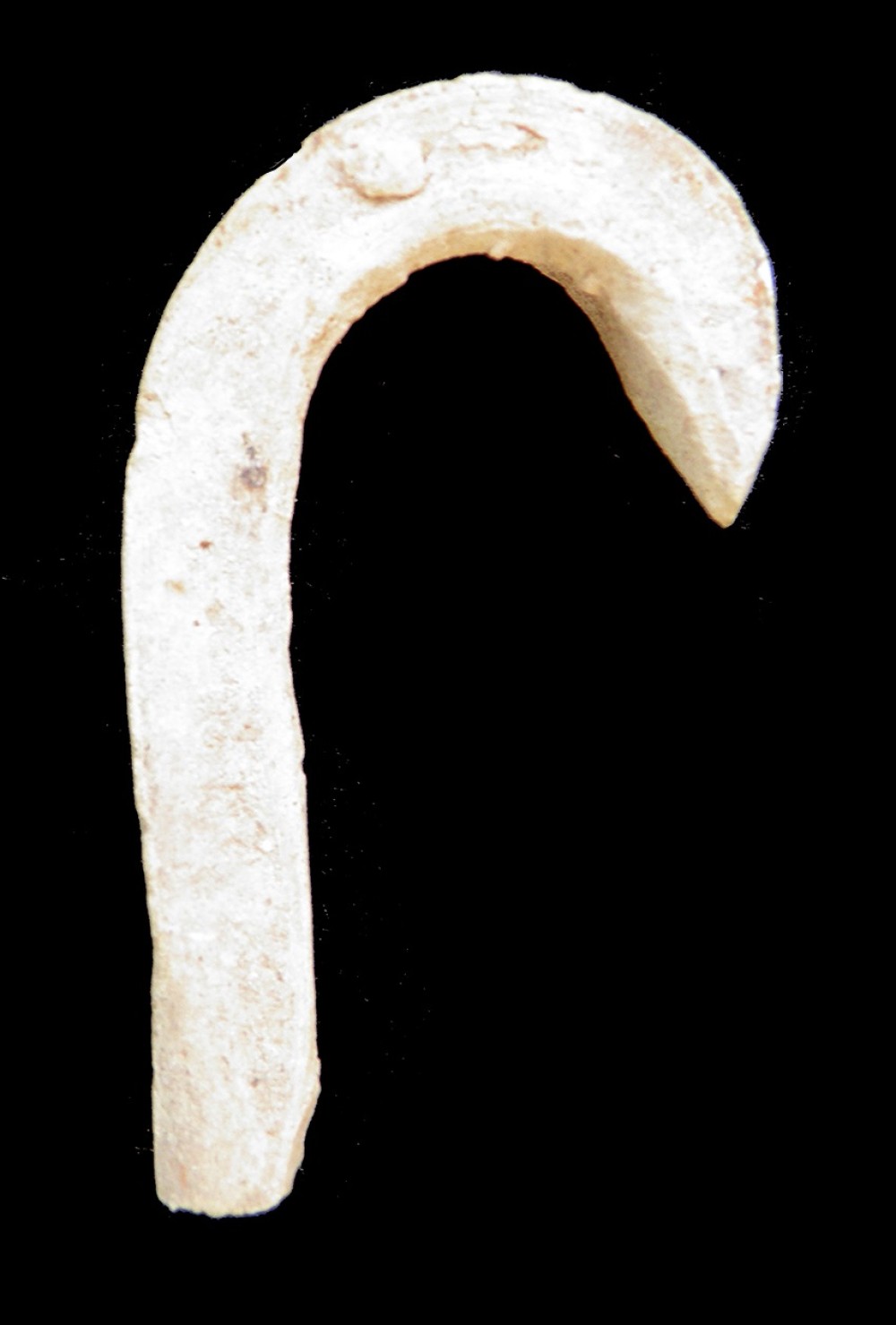 100.JPG