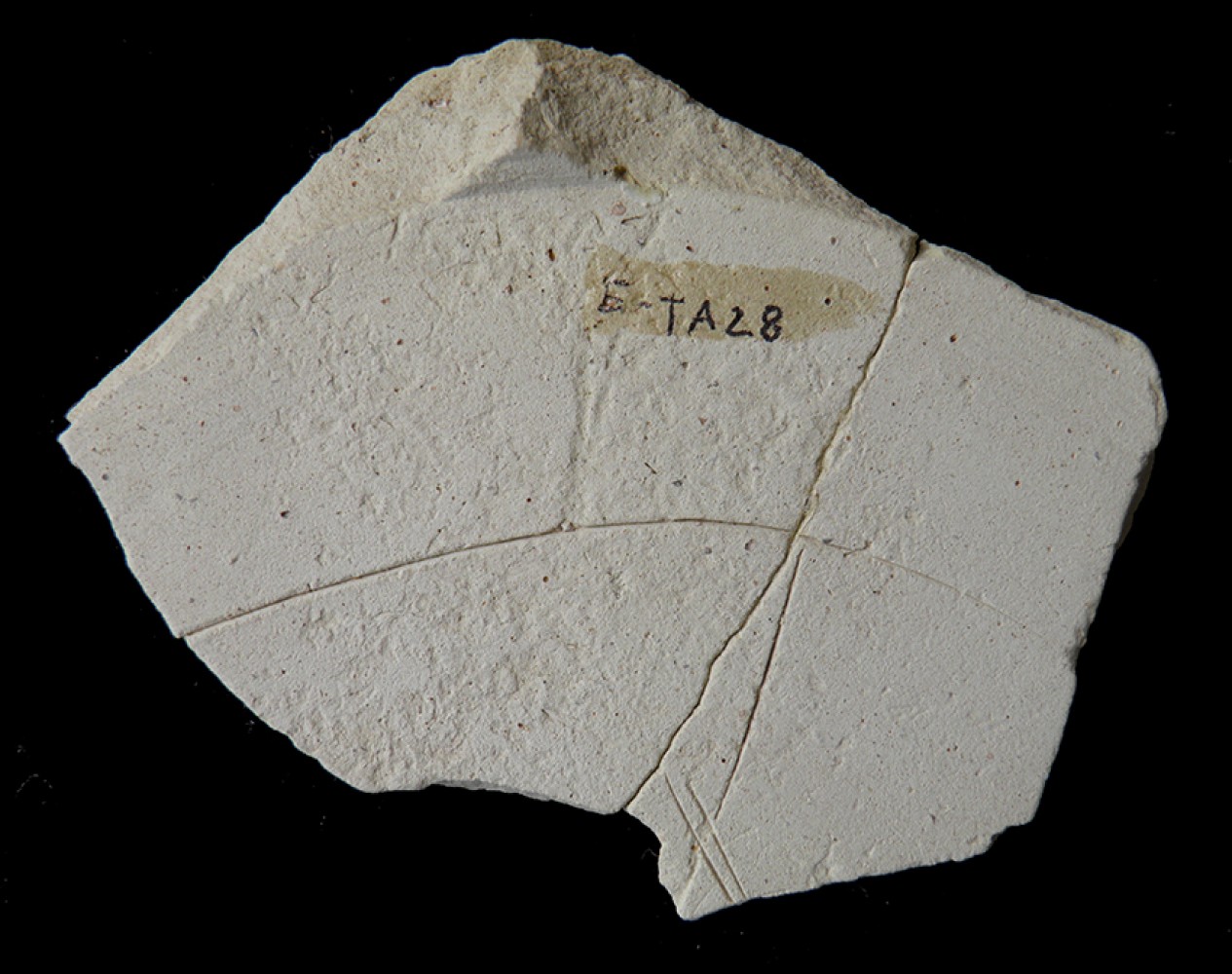 107.JPG