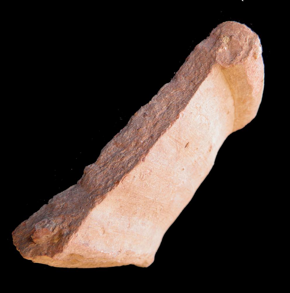 100.JPG