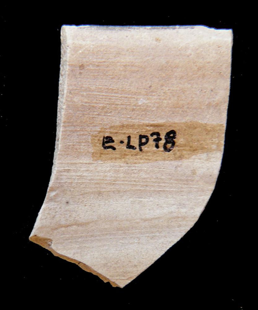 100.JPG