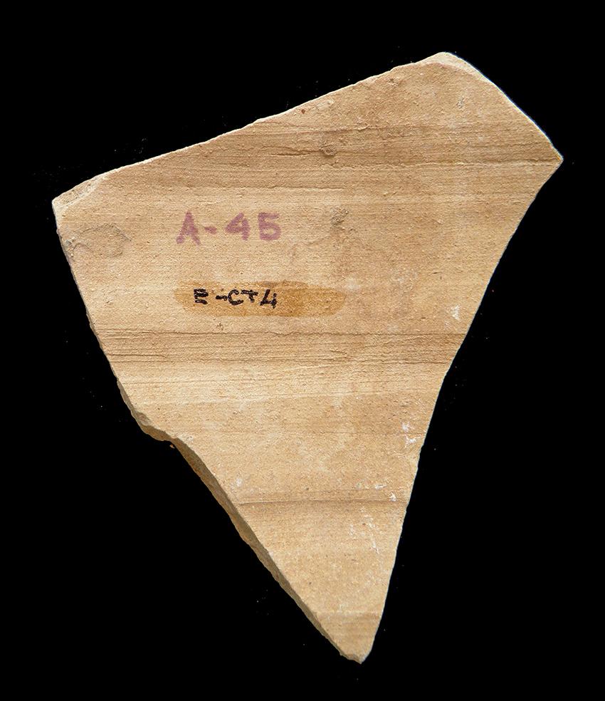 101.JPG
