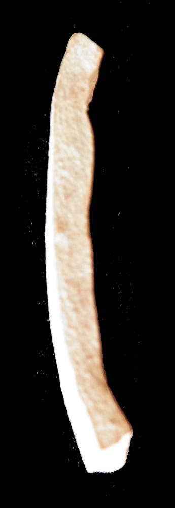 100.JPG