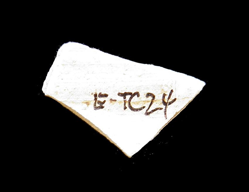 102.JPG