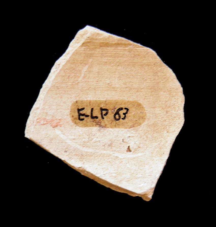 104.JPG