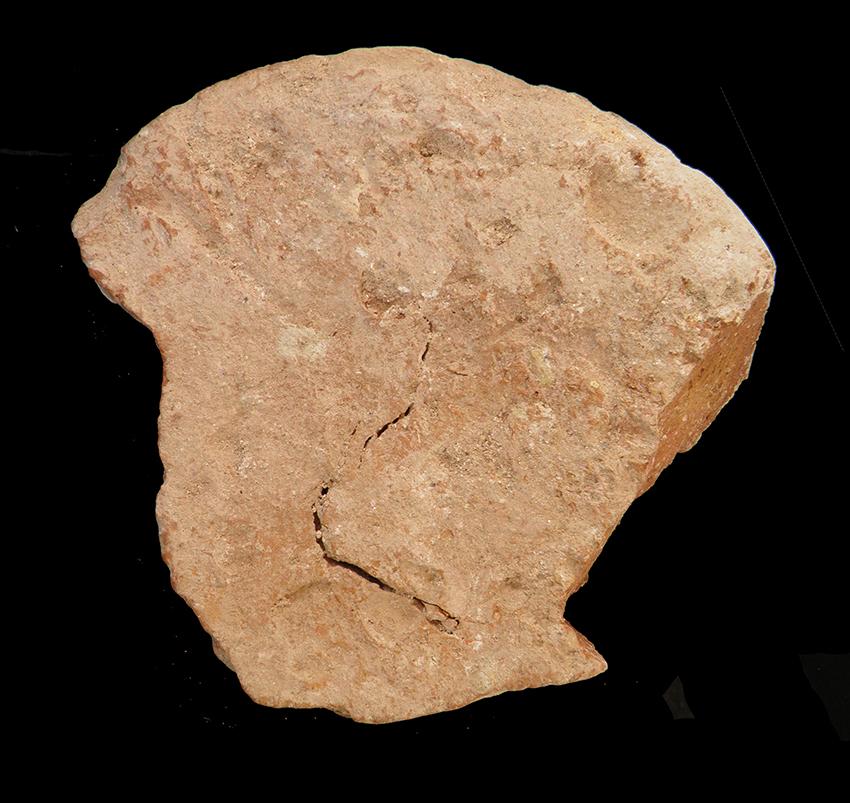 103.JPG