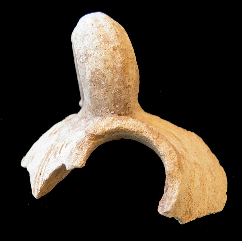102.JPG