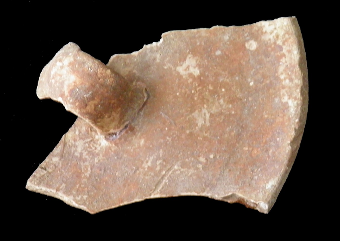 101.JPG
