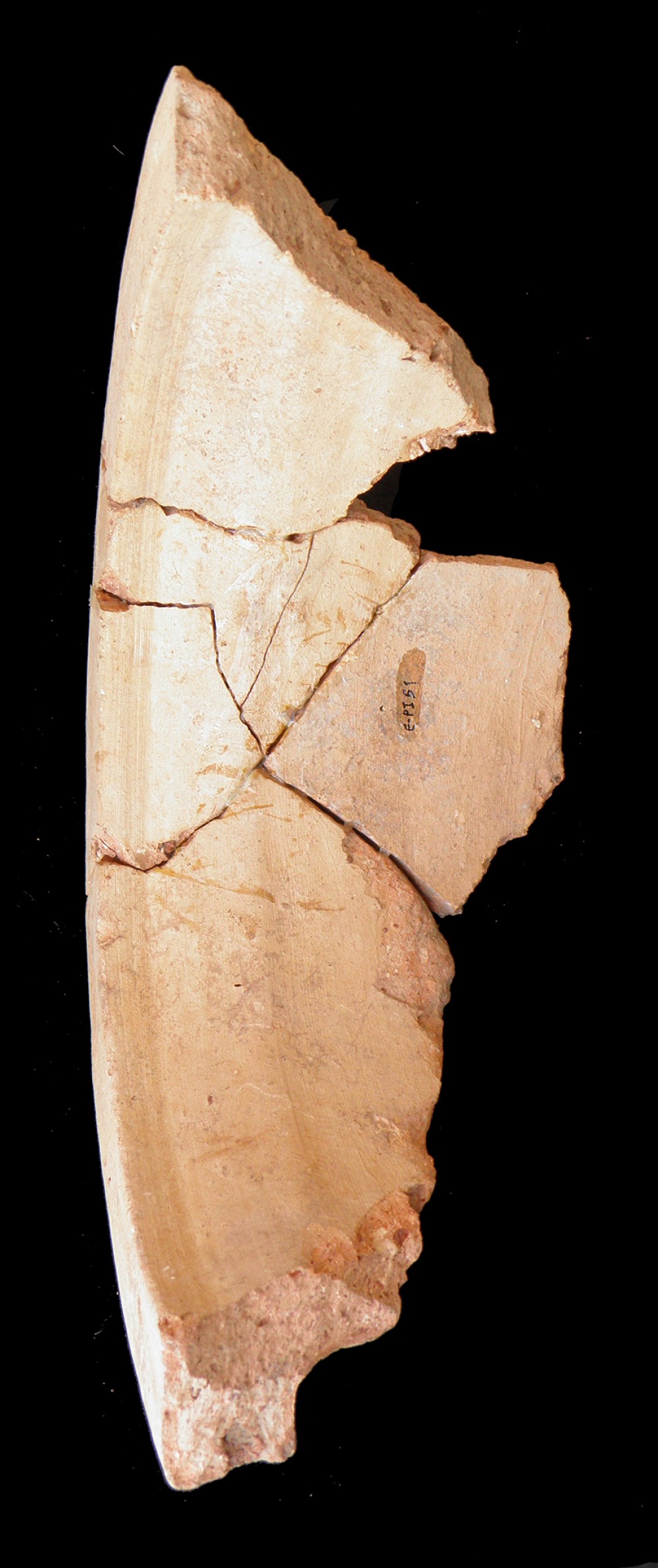 105.JPG