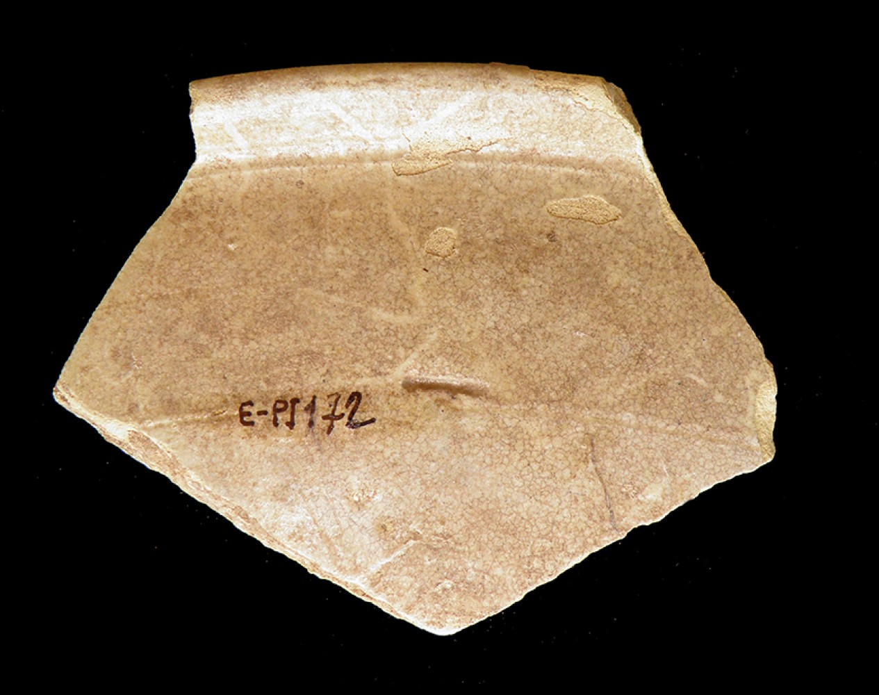 103.JPG