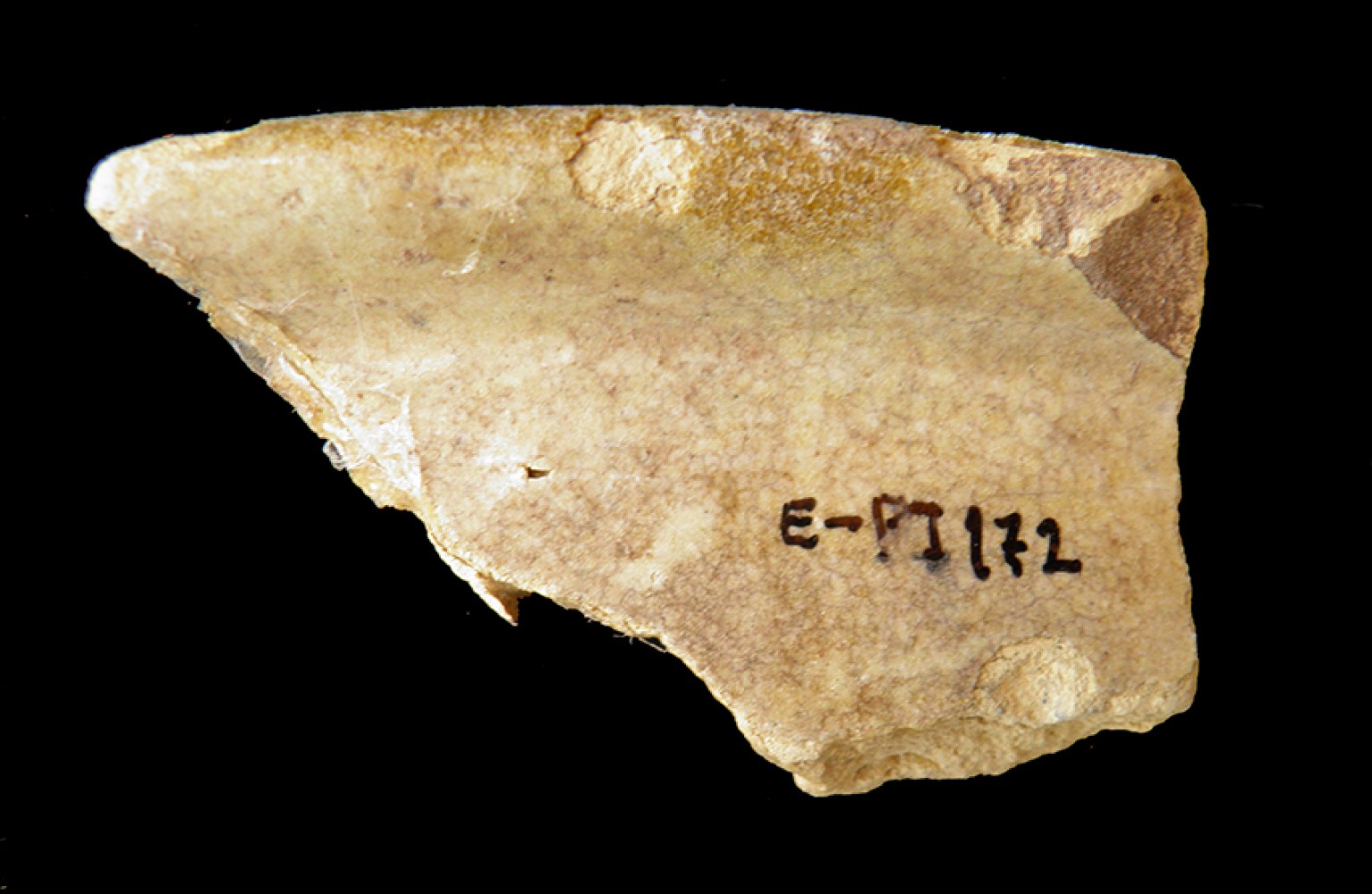 105.JPG
