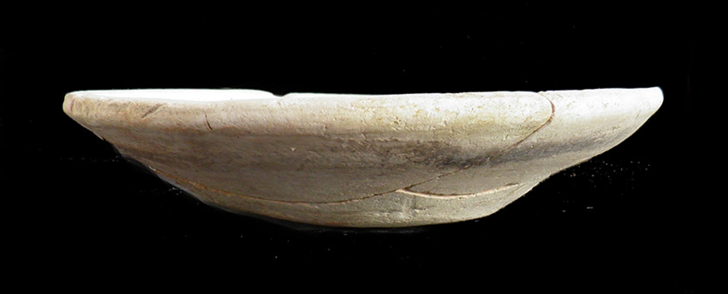 103.JPG