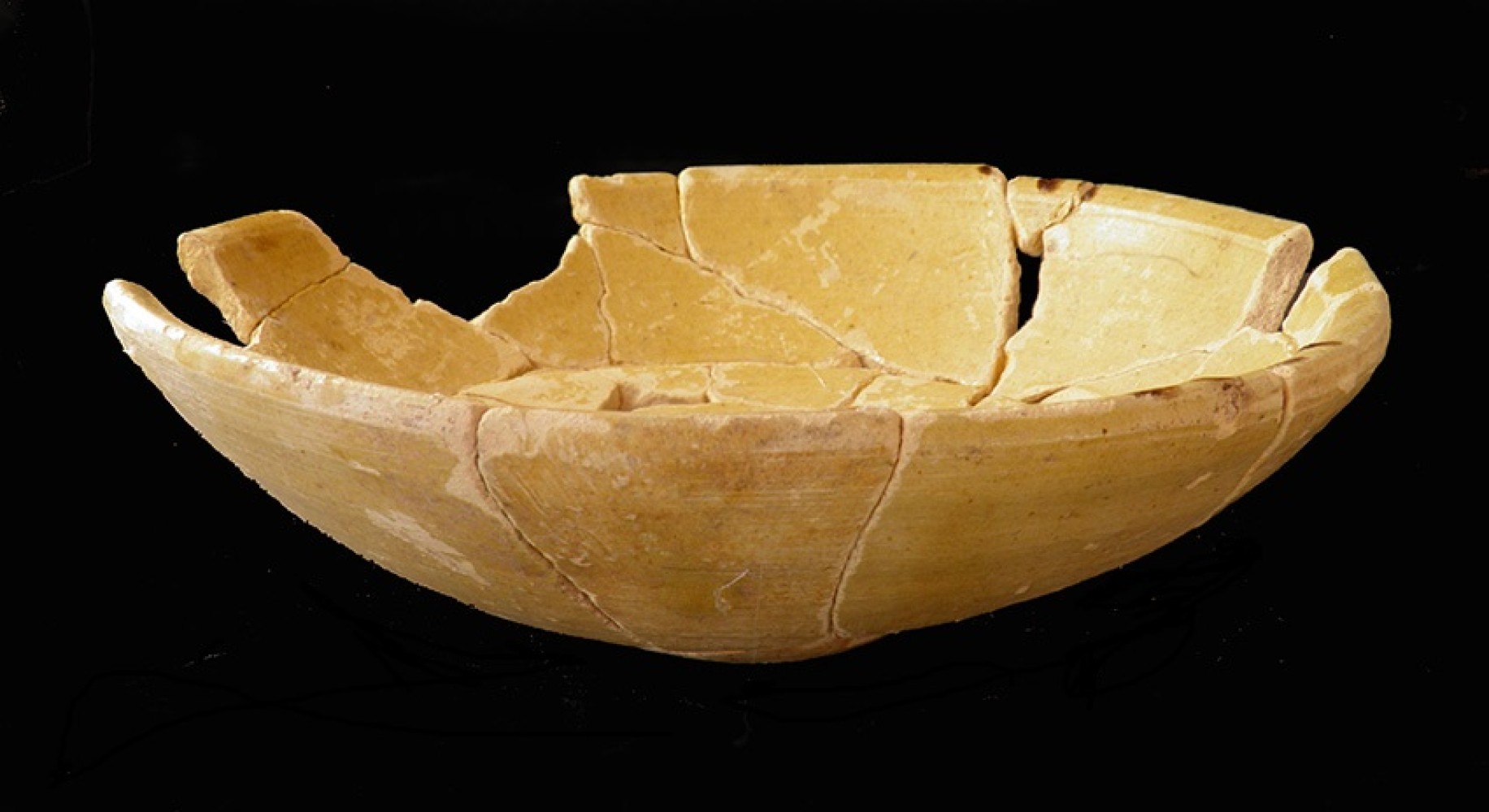 100.JPG