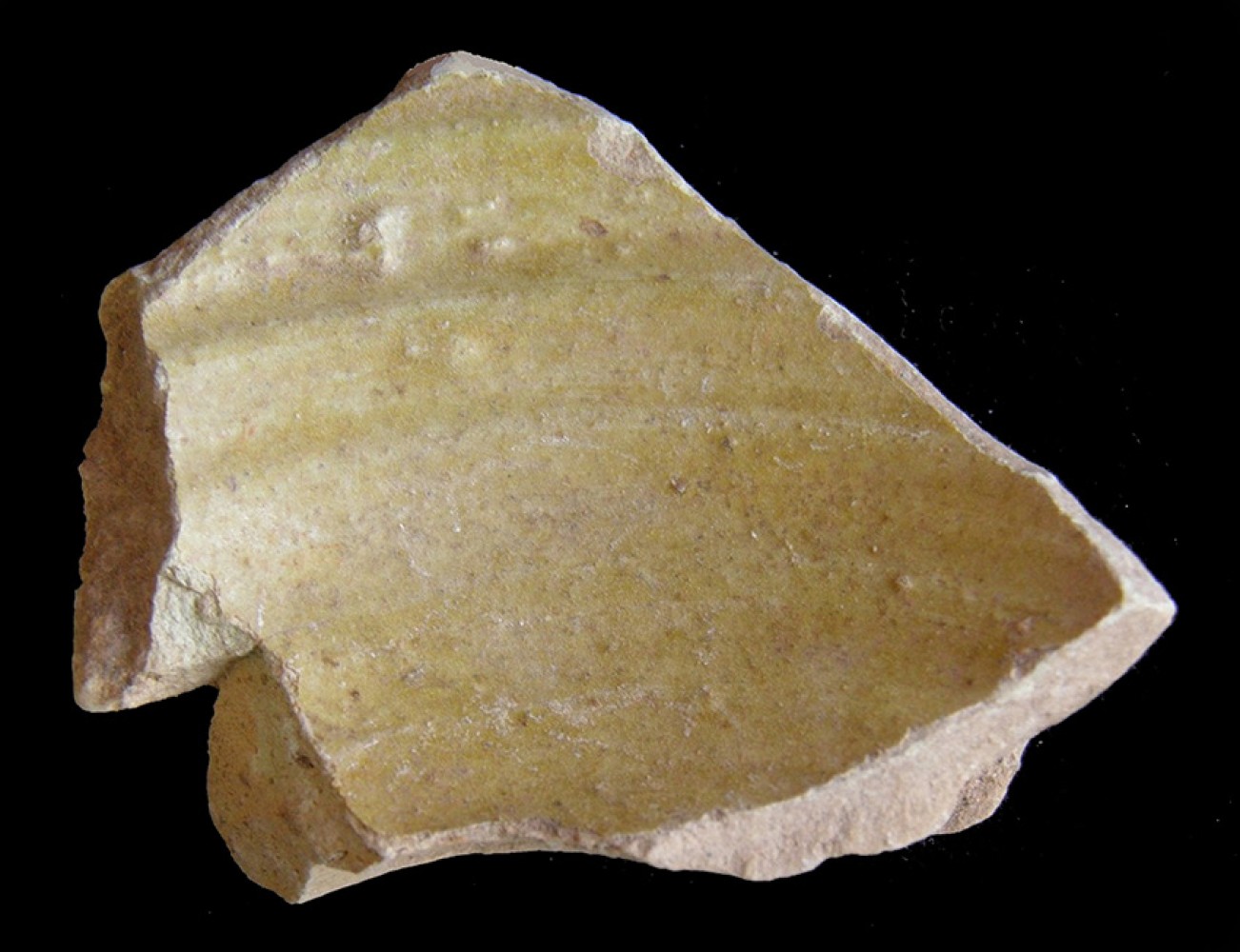100.JPG