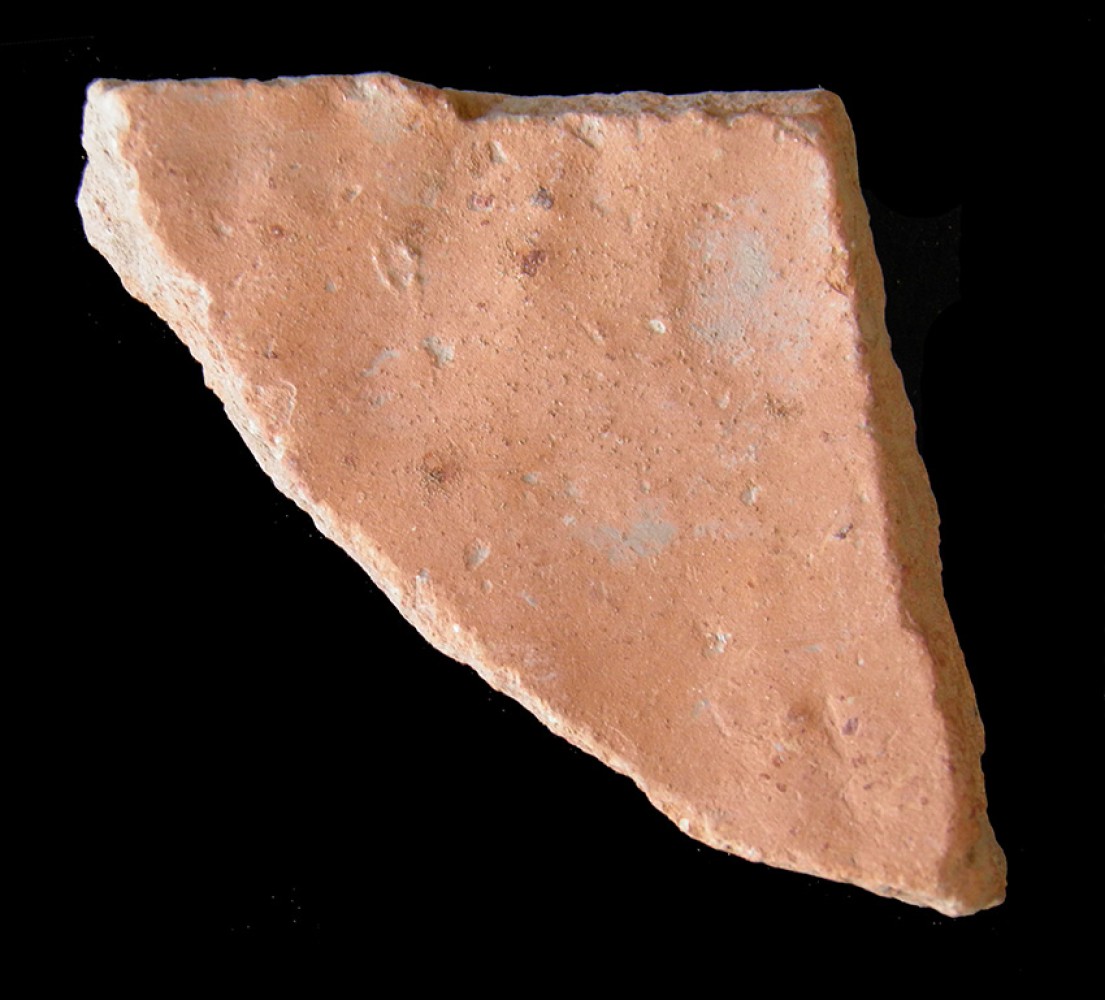 100.JPG