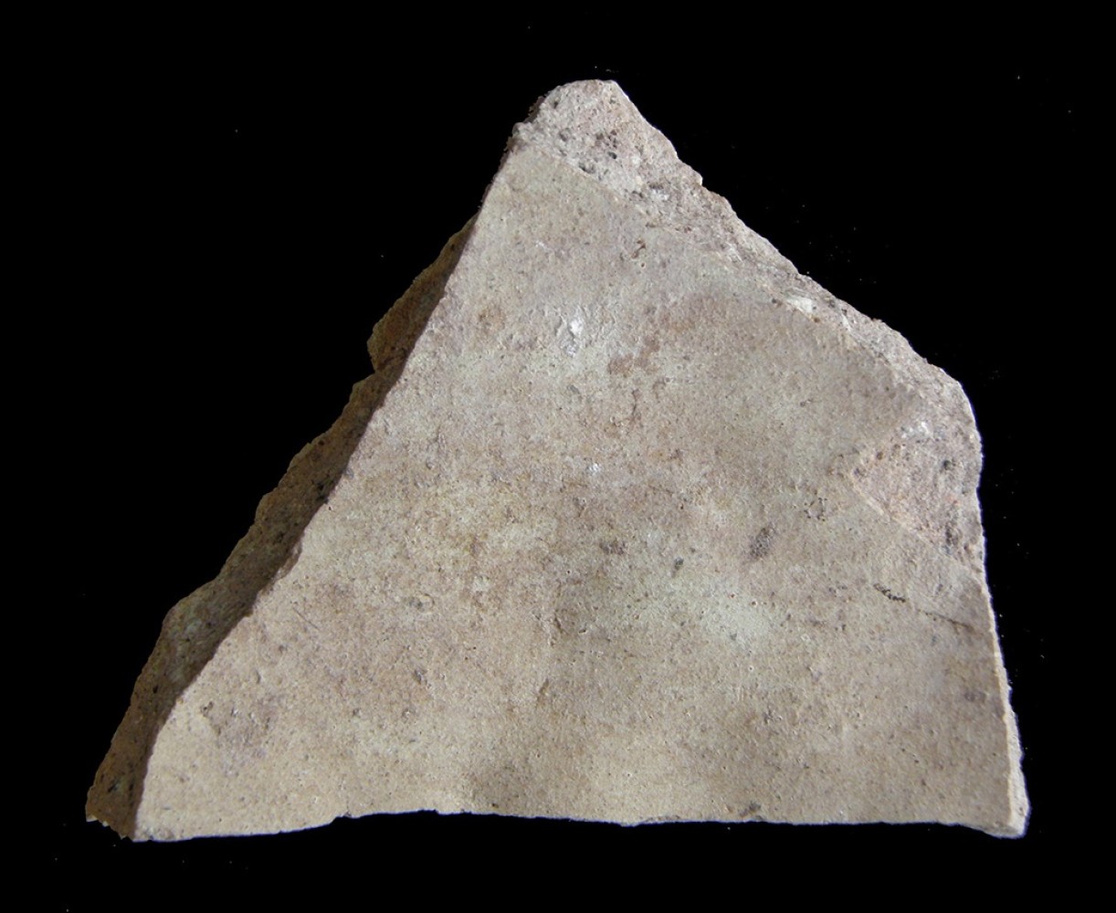 100.JPG