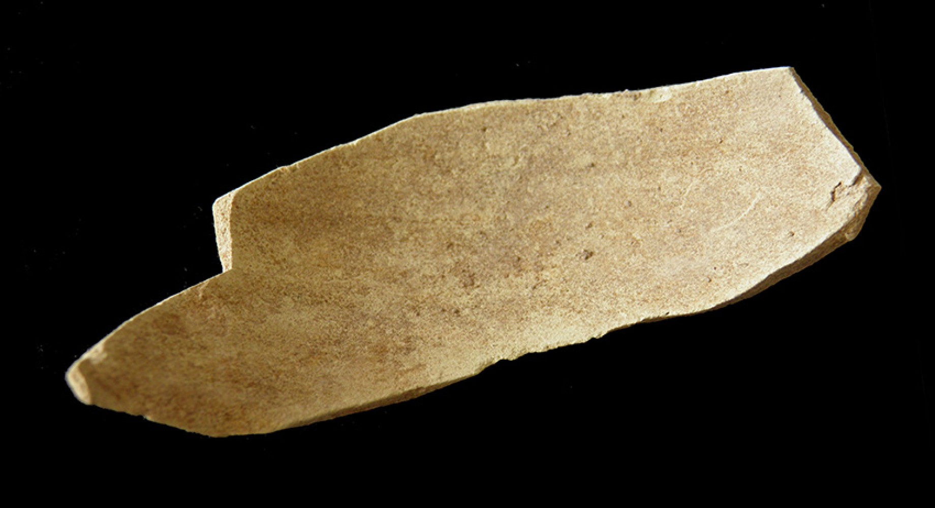 100.JPG