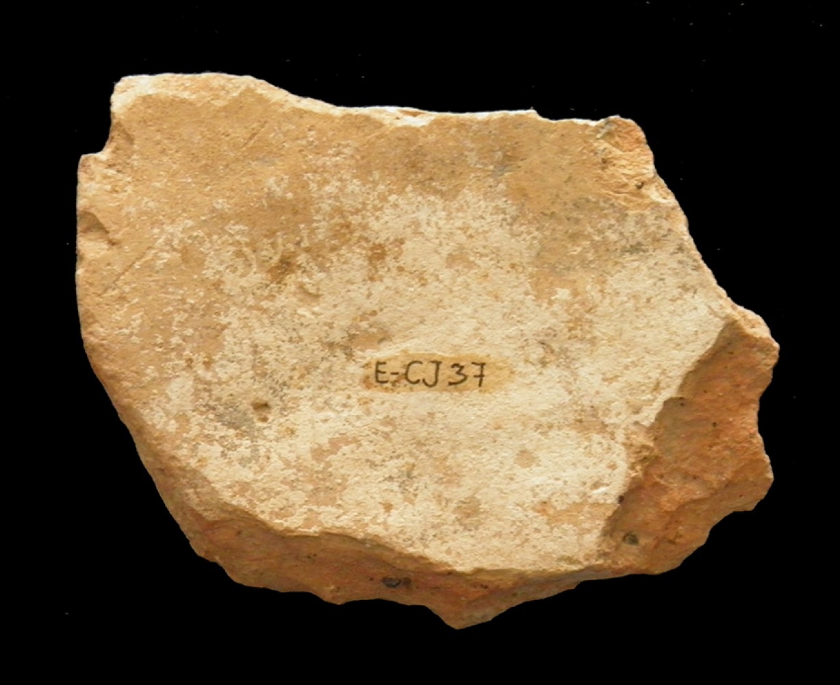 100.JPG