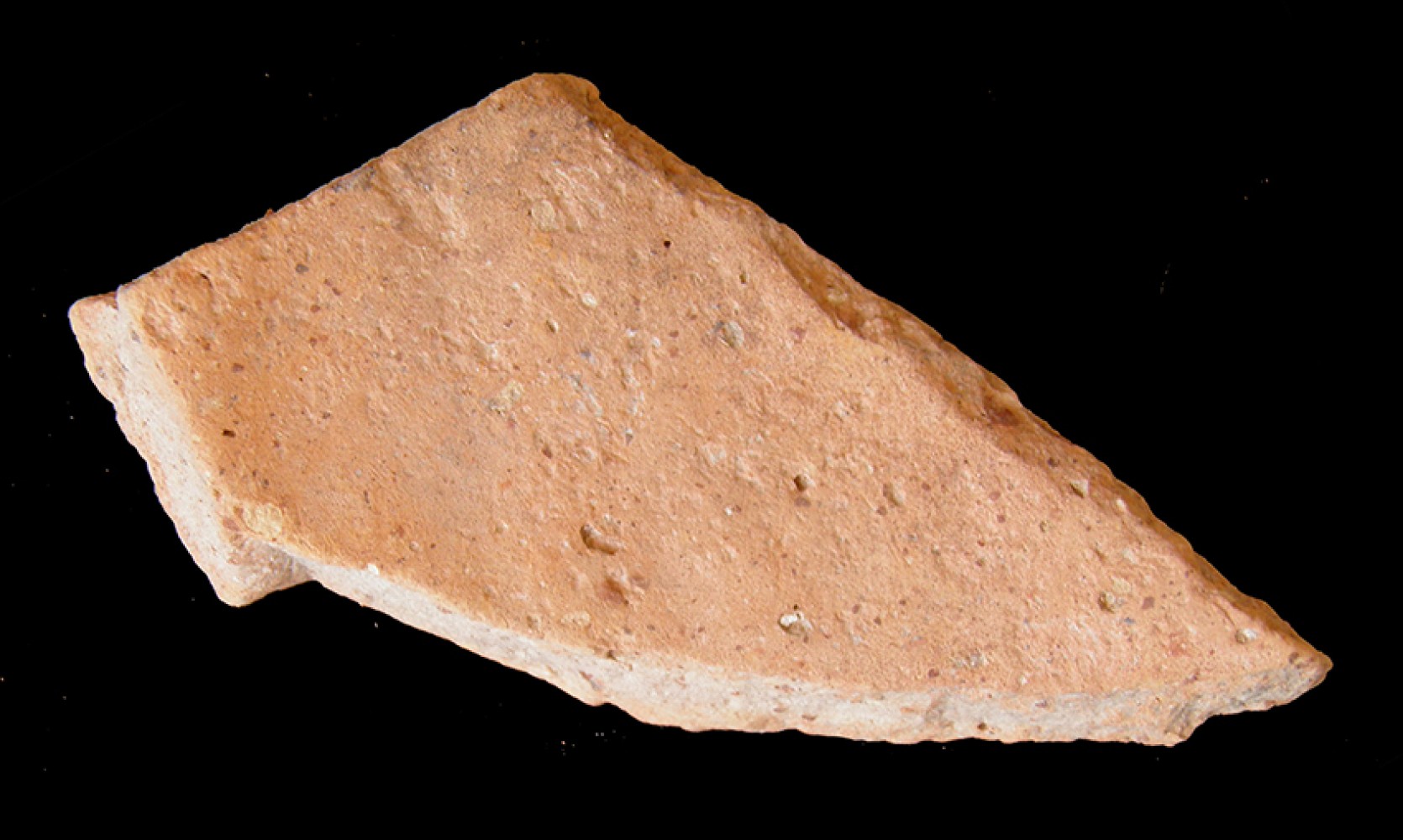100.JPG