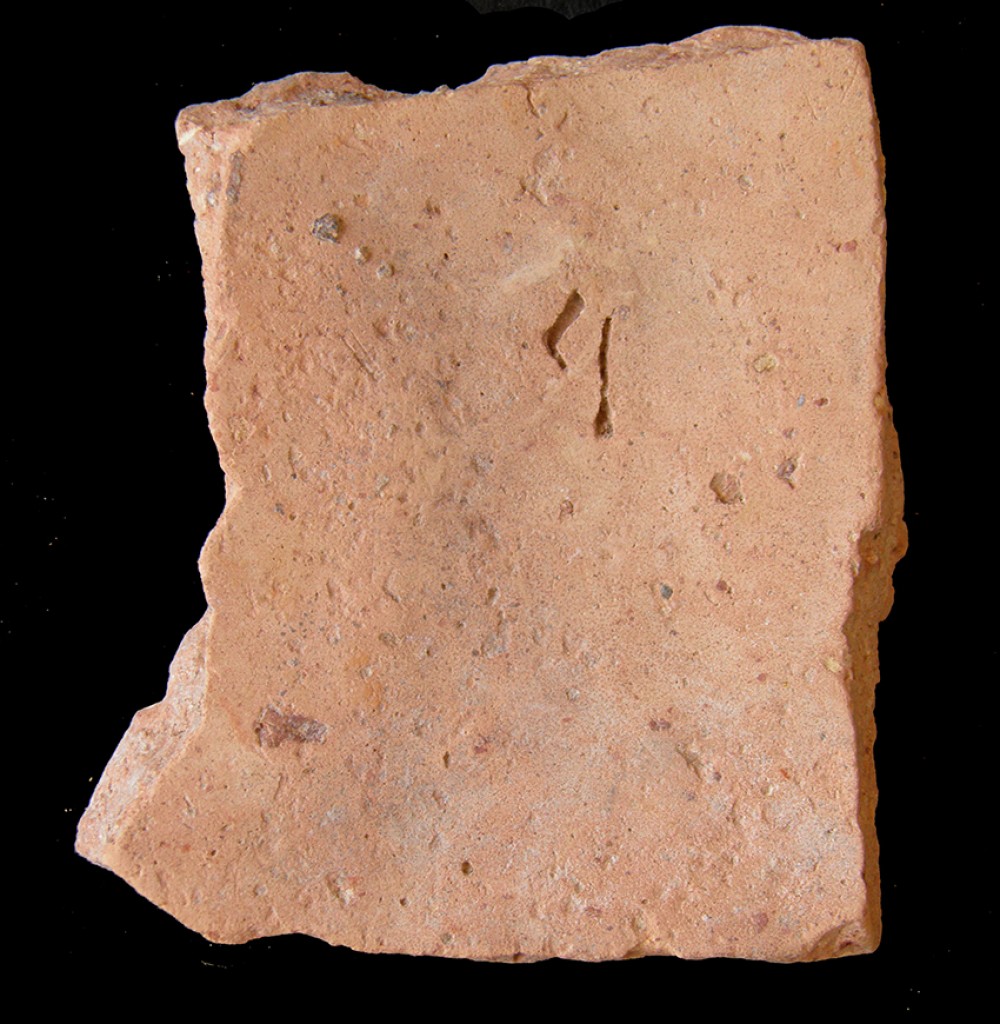 100.JPG