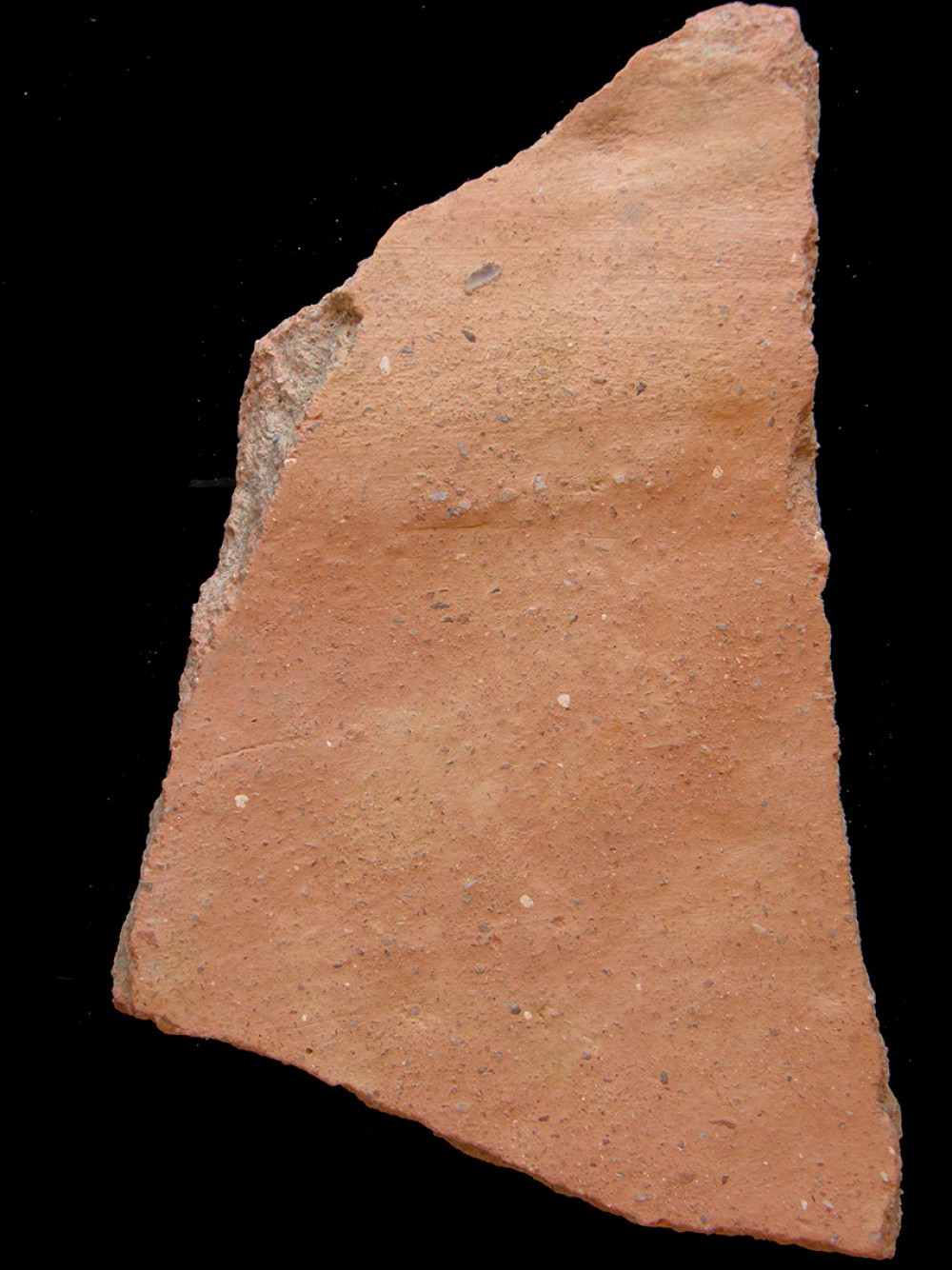 100.JPG
