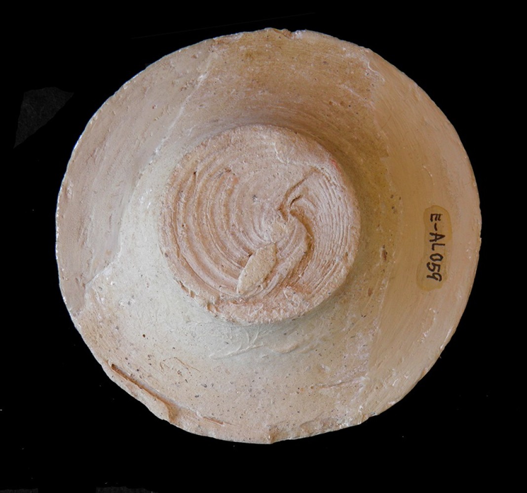 103.JPG